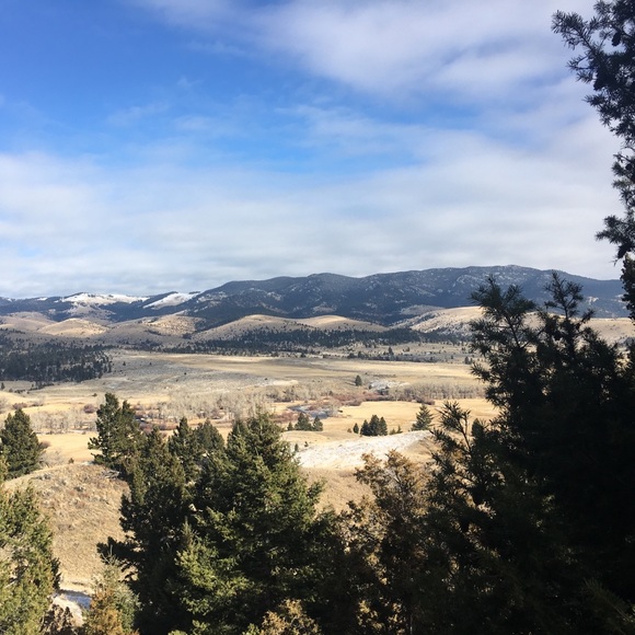 Meet your Posher, Troy - Picture 1 of 1